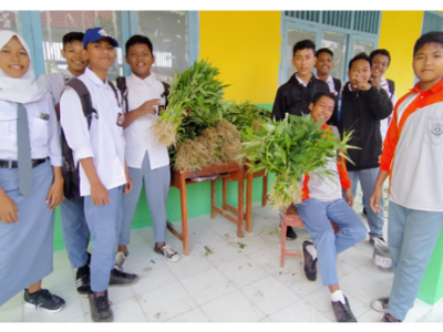 Hasil Panen Sayuran